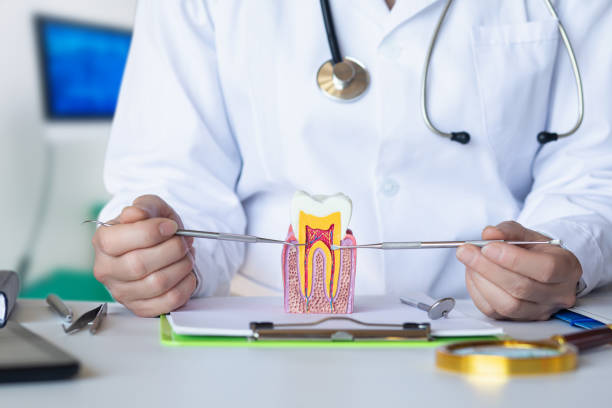 Best Emergency Root Canal Treatment in Greenfields, PA